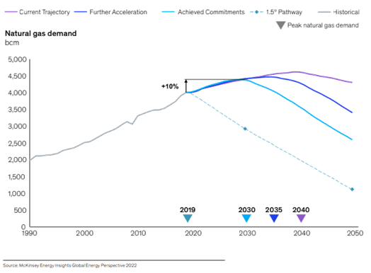 McKinsey Energy Insights