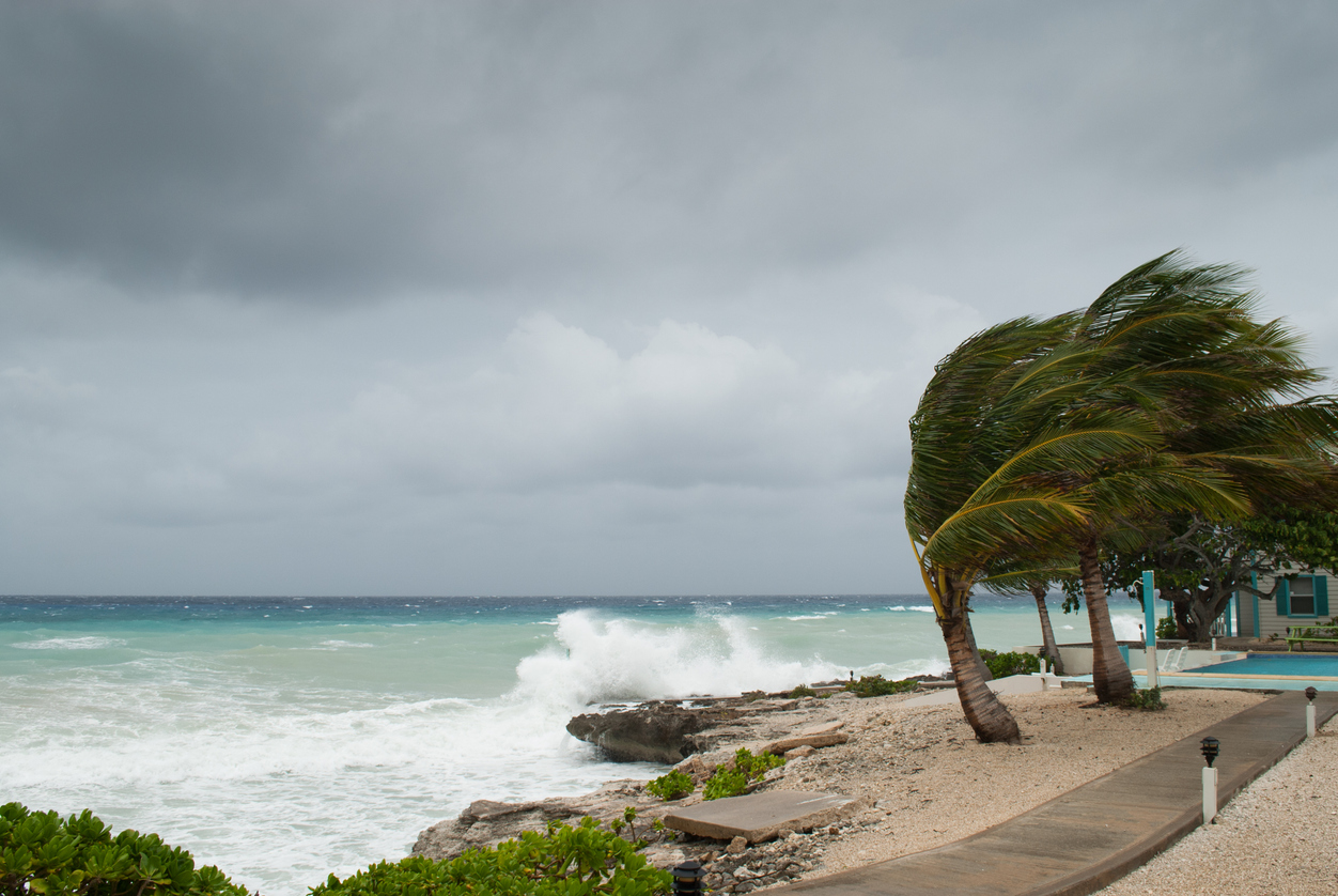 Recapping the 2024 Hurricane Season